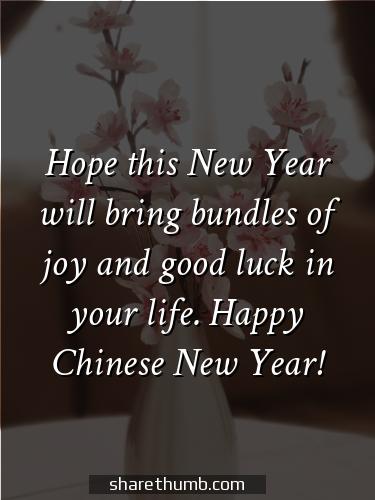 chinese new year wishes with name